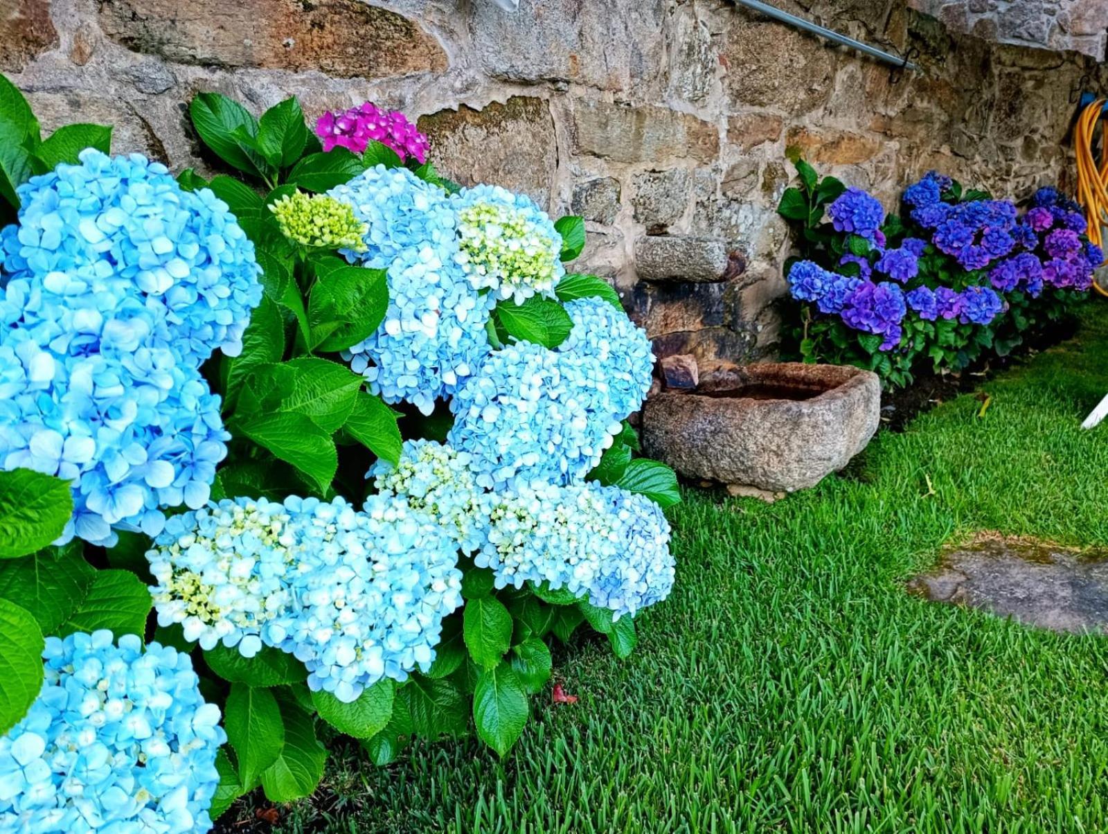 فيلا Remanso Azul Moaña المظهر الخارجي الصورة